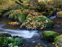 Kaskade im unteren Bachlauf